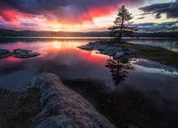 Norwegia, Ringerike, Zachód słońca, Jezioro, Wysepka, Lasy, Drzewo