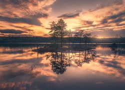 Jezioro, Wysepka, Drzewa, Zachód słońca, Chmury, Gmina Ringerike, Norwegia