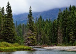 Rzeka, Las, Góry, Mgła, Drzewa, Park Narodowy Glacier, Stan Montana, Stany Zjednoczone