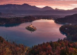 Słowenia, Góry, Jezioro Bled, Wyspa, Blejski Otok, Kościół, Jesień, Lasy