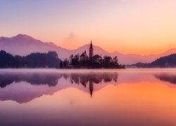 Słowenia, Jezioro Bled, Wyspa Blejski Otok, Mgła, Drzewa