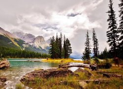 Jezioro Maligne, Wyspa Ducha, Park Narodowy Jasper, Góry, Drzewa, Kamienie, Trawa, Chmury, Alberta, Kanada