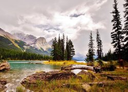 Wyspa Ducha na jeziorze Maligne obok gór w Parku Narodowym Jasper