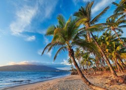 Hawaje, Wyspa Maui, Morze, Palmy, Wzgórza
