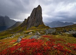 Norwegia, Wyspa Senja, Szczyt Husfjellet, Skały, Roślinność, Morze, Chmury