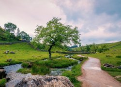 Wzgórza i rzeczka przy drodze we wsi Malham w hrabstwie North Yorkshire