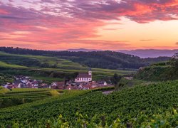 Wzgórza, Kaiserstuhl, Domy, Plantacja, Winnice, Zachód słońca, Badenia-Wirtembergia, Niemcy