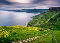 Morze, Łąka, Kwiaty, Wzgórza, Schody, Wybrzeże Jurajskie, Hrabstwo Dorset, Anglia