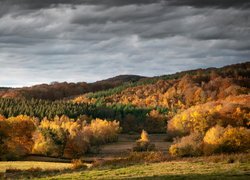 Wzgórza porośnięte jesiennymi drzewami
