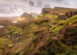 Góry, Wzgórza, Chmury, Jeziora, Drzewo, Wyspa Skye, Wzgórze, Quiraing, Szkocja