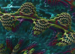 Grafika 3D, Mandelbulb, Fraktal