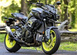 Motocykl, Yamaha FZ10