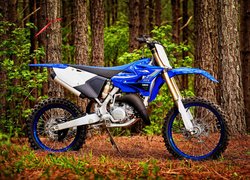 Yamaha YZ125X