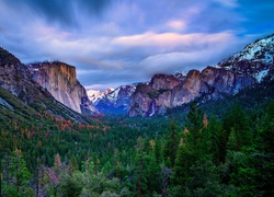 Stany Zjednoczone, Kalifornia, Park Narodowy Yosemite, Góry, Las, Drzewa, Mgła
