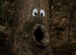 Zabawne drzewo z oczami i ustami