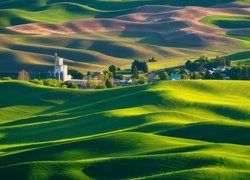 Wzgórza, Drzewa, Łąki, Pola, Zabudowania, Region Palouse, Whitman County, Stan Waszyngton, Stany Zjednoczone