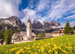 Włochy, Góry Dolomity, Kościół, Domy, Drzewa, Łąka, Kwiaty, Chmury