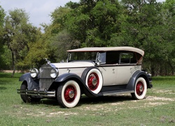 Zabytkowy Packard Standard 8 Convertible Coupe z 1931 roku