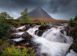 Szkocja, Region Highlands, Góra, Buachaille Etive Mór, Chmury, Rzeka, Kamienie, Drzewa, Paprocie