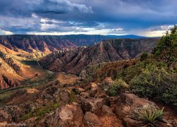 Kanion, Sycamore Canyon, Skały, Drzewa, Roślinność, Arizona, Stany Zjednoczone