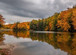 Zachmurzone niebo nad lasem i jeziorem