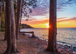 Zachód słońca i złamane drzewo na brzegu jeziora Superior Lake