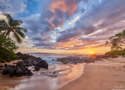Hawaje, Wyspa Maui, Morze, Zachód słońca, Palmy, Chmury