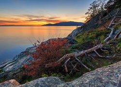 Zachód słońca, Drzewa, Rośliny, Skała, Cieśnina Strait of Georgia, Vancouver, Kanada