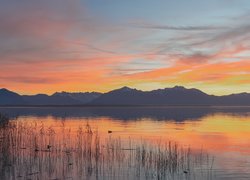 Zachód słońca, Jezioro Chiemsee, Góry, Trawa, Bawaria, Niemcy