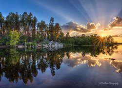 Zachód słońca, Promienie słońca, Jezioro, Goldwater Lake, Drzewa, Gałęzie, Prescott, Stan Arizona, Stany Zjednoczone