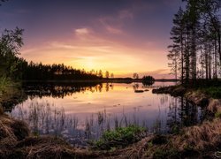 Park Narodowy Helvetinjarvi, Jezioro Haukkajarvi, Drzewa, Zachód słońca, Gmina Ruovesi, Finlandia