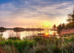 Jezioro Hoornsemeer, Zachód słońca, Trzciny, Szuwary, Pomost, Trawa, Prowincja Groningen, Holandia