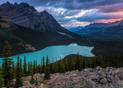 Zachód słońca nad jeziorem Peyto Lake i górami w prowincji Alberta w Kanadzie