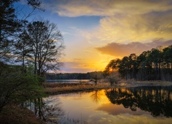 Stany Zjednoczone, Jezioro West Point Lake, Zachód słońca, Odbicie   Drzewa, Las