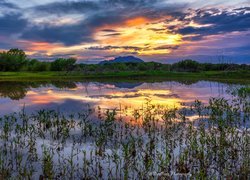 Stany Zjednoczone, Arizona, Hrabstwo Yavapai, Prescott, Jezioro, Willow Lake, Trawy, Zachód słońca, Odbicie