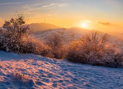 Zima, Góry, Drzewa, Krzewy, Zachód słońca, Wzgórza, Kaiserstuhl, Niemcy