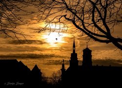 Zachód słońca, Gałęzie, Ptak, Drzewo, Wieże, Kościół, Kolegiata Stiftskirche, Stuttgart, Niemcy