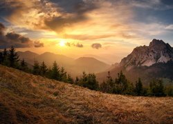 Góry, Mała Fatra, Karpaty, Zachód słońca, Drzewa, Słowacja