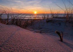 Morze Bałtyk, Mierzeja Kurońska, Piasek, Trawy, Zachód słońca, Obwód kaliningradzki, Rosja