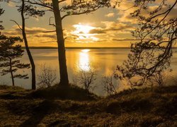 Zachód słońca, Morze Bałtyckie, Wyspa Uznam, Drzewa