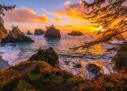 Zachód słońca, Morze, Wysepki, Skały, Drzewa, Wybrzeże Park stanowy, Samuel H Boardman State Scenic Corridor, Oregon, Stany Zjednoczone