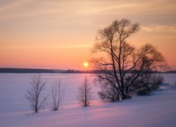 Zima, Rzeka Wołga, Drzewa, Zachód słońca, Miejscowość Kostroma, Rosja