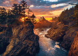 Zachód słońca, Morze, Wysepki, Wysokie, Skały, Drzewa, Park stanowy, Samuel H Boardman State Scenic Corridor, Oregon, Stany Zjednoczone