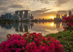 Zachód słońca w Singapurze