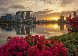 Zatoka Marina Bay, Hotel Marina Bay Sands, Wieżowce, Singapur, Most, Rzeka, Kwiaty, Zachód słońca