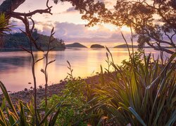 Zachód słońca w zatoce Long Bay na półwyspie Coromandel