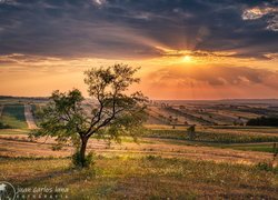 Zachodzące słońce nad polami