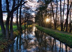 Zachodzące słońce za drzewami nad rzeką