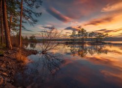 Jezioro, Wysepka, Drzewa, Wschód słońca, Chmury, Gmina Ringerike, Norwegia