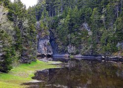 Zadrzewione skały nad stawem